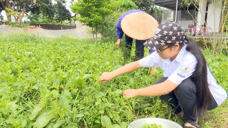 Thái Nguyên: Cô học trò nghèo vượt khó ước mơ trở thành chiến sĩ Công an Nhân dân ảnh 2