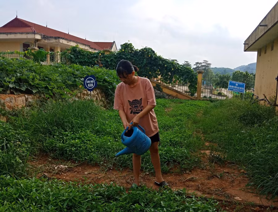 Tuyên Quang: Cô học trò nhỏ với nghị lực vượt khó cùng ý chí ham học hỏi ảnh 2
