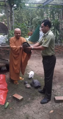 Phóng sinh ở chùa: “Tạo phước” hay phản khoa học? ảnh 1