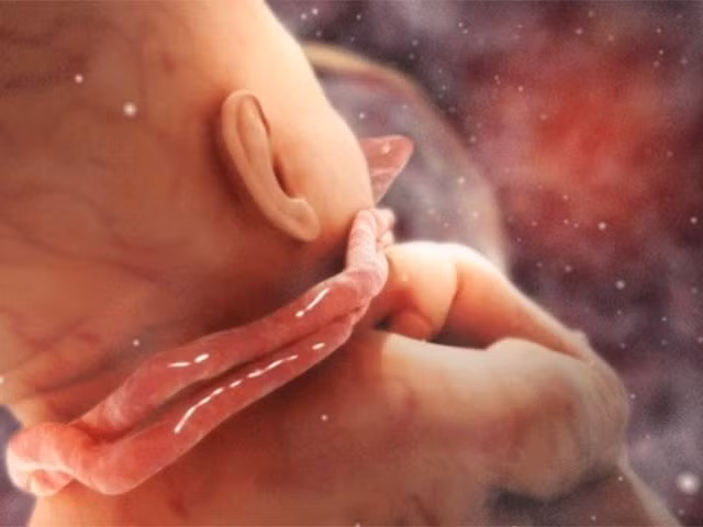 Nằm trong số 4 kiểu mẹ bầu này, nên đẻ mổ kẻo nguy hiểm cho con 