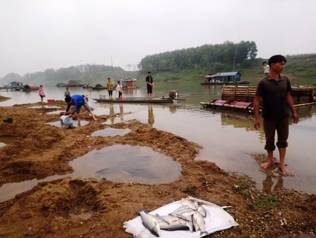 Vụ cá chết bất thường trên sông Chu (Thanh Hóa): Tác nhân chính không còn hiện hữu ảnh 3