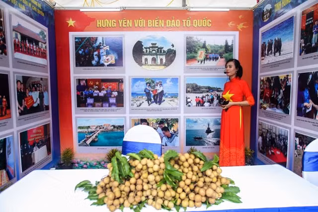 Triển lãm ảnh về chủ quyền và phát triển biển, đảo Việt Nam tại quảng trường Lam Sơn ảnh 7