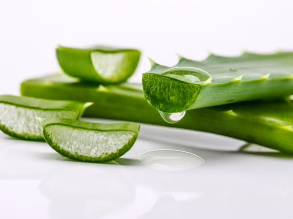 10 biện pháp tự nhiên giúp điều trị cháy nắng hiệu quả mà bạn nên biết ảnh 1