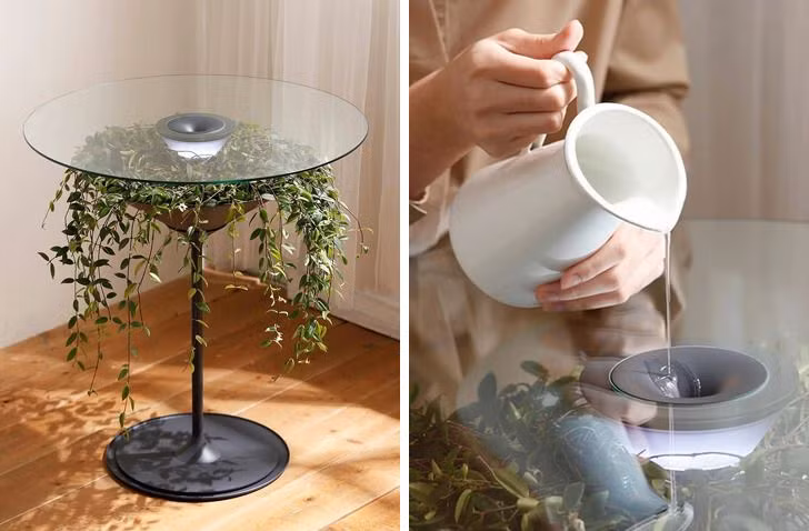 8 mẫu thiết kế nội thất khiến bạn cảm thấy như đang sống giữa thiên nhiên ảnh 6