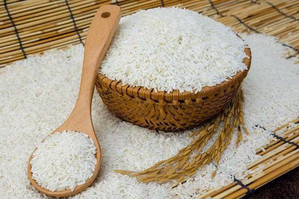 Vi sao không nên dùng thùng nhựa đựng gạo?