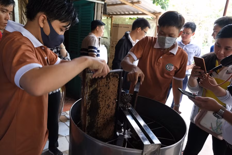 Du lịch miệt vườn miền Tây hút khách trở lại ảnh 11