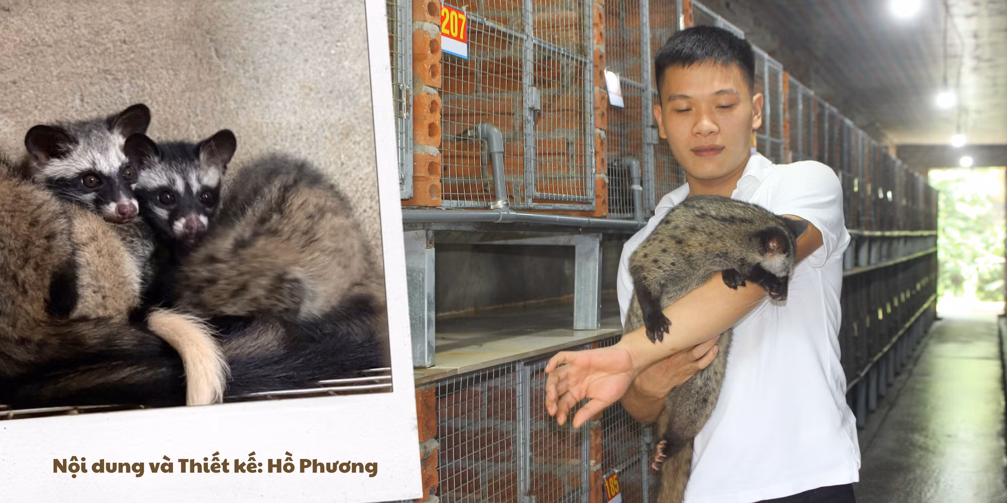Rẽ lối sau lớp 12, chàng trai 25 tuổi gây dựng cơ ngơi tiền tỷ