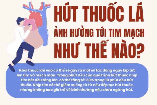 Infographic: Hút thuốc lá ảnh hưởng tới tim mạch như thế nào?