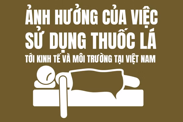Infographic: Ảnh hưởng của việc sử dụng thuốc lá tới kinh tế và môi trường Việt Nam