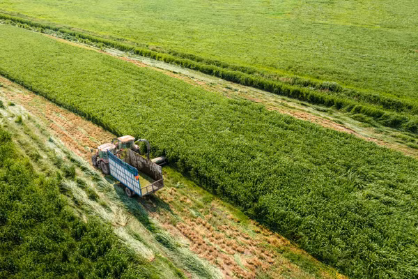 Vinamilk tiếp tục là đại diện duy nhất của ngành sữa Việt Nam trong Fortune 500 Đông Nam Á