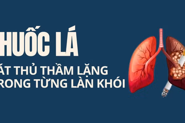 Infographic: Thuốc lá - Sát thủ thầm lặng tàn phá sức khỏe