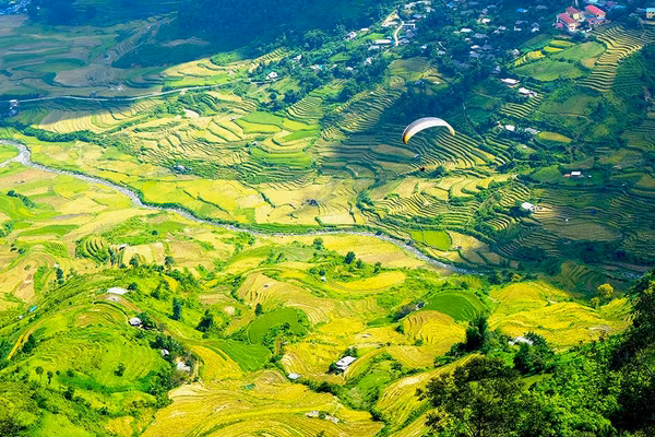 Ảnh minh họa: ITN.
