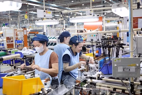 Nhờ các sàn giao dịch thông tin việc làm, nhiều người định hướng được nghề nghiệp (Ảnh minh họa: ITN).