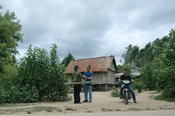 Phim 'Trời cao nguyên xanh’ phát sóng lúc 21 giờ, từ thứ Hai đến thứ Sáu hằng tuần trên VTV1, bắt đầu từ ngày 6/7.