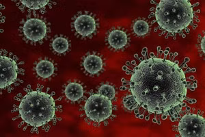 Tác nhân gây bệnh cúm chủ yếu do các chủng virus cúm A(H3N2), cúm A(H1N1), cúm B và cúm C. 