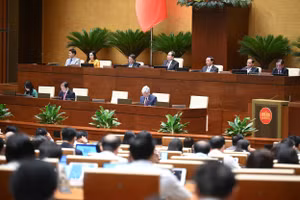Quang cảnh phiên họp ngày 13/6. 