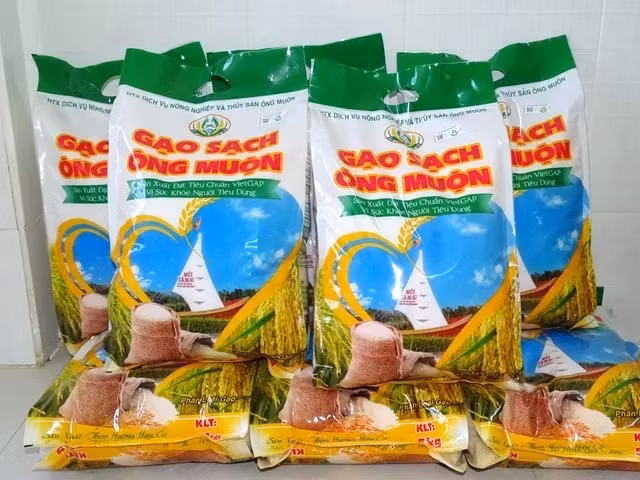gao-ngonpjg.jpg