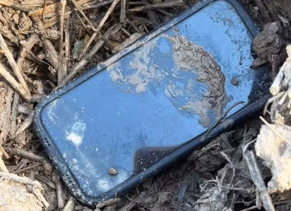 Chiếc điện thoại iPhone được Đ. giấu vào bụi chuối.