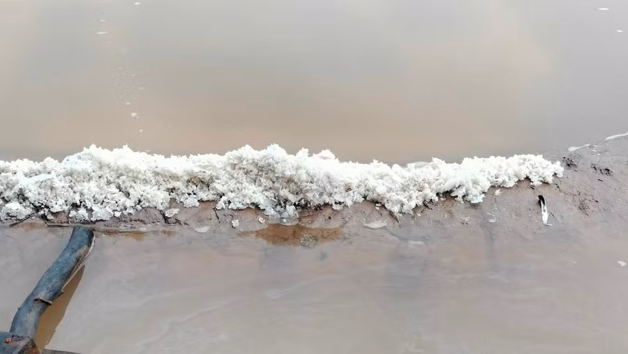 642146203-895003169983776-5622935891563498565-n.jpg