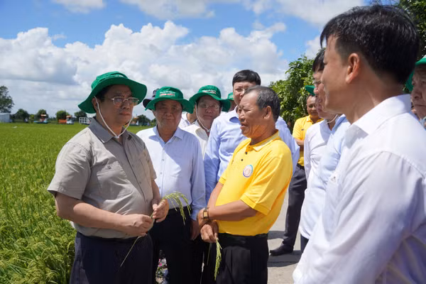 Thủ tướng Chính phủ Phạm Minh Chính trong một lần đến thăm và làm việc với Hợp tác xã Dịch vụ nông nghiệp Thắng Lợi (tỉnh Đồng Tháp).