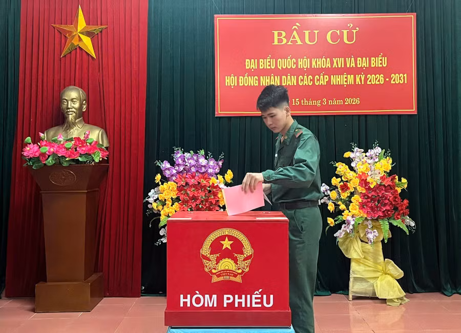 bau-cu-14.jpg