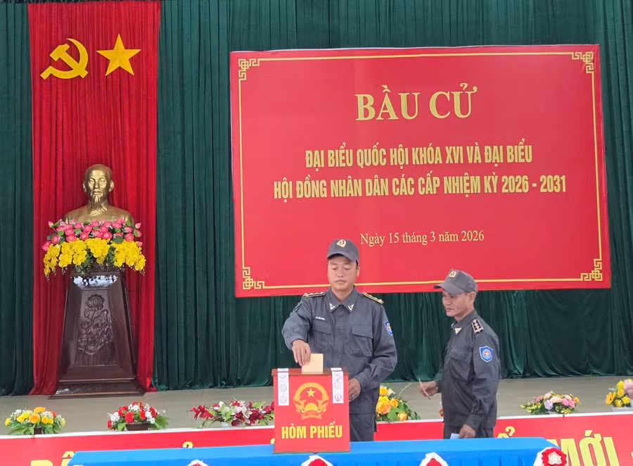 bau-cu-3.jpg