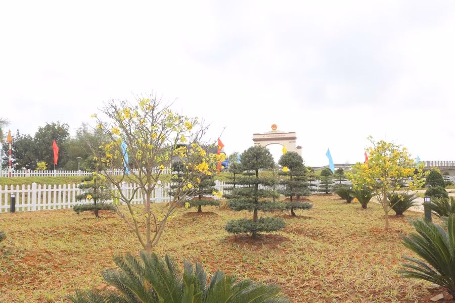 hien-luong-2.jpg