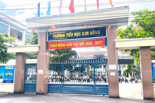 Trường Tiểu học Kim Đồng, được thành lập trên cơ sở sáp nhập Trường Tiểu học Kim Đồng và Trường Tiểu học Nguyễn Văn Cừ.