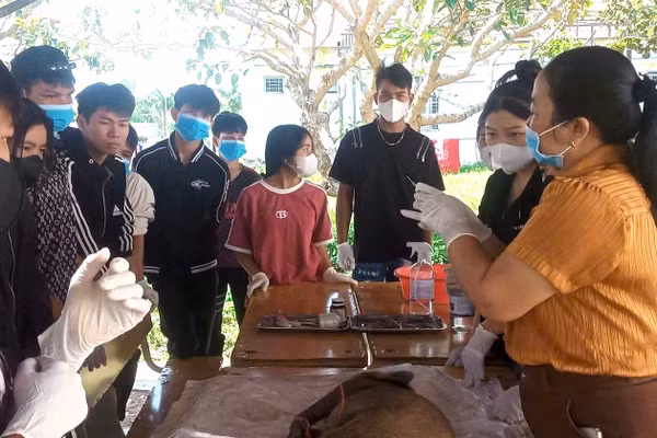 Học viên vùng đồng bào dân tộc thiểu số thực hành tiêm phòng cho gia súc.