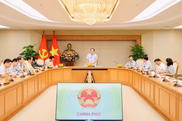Quang cảnh buổi làm việc.