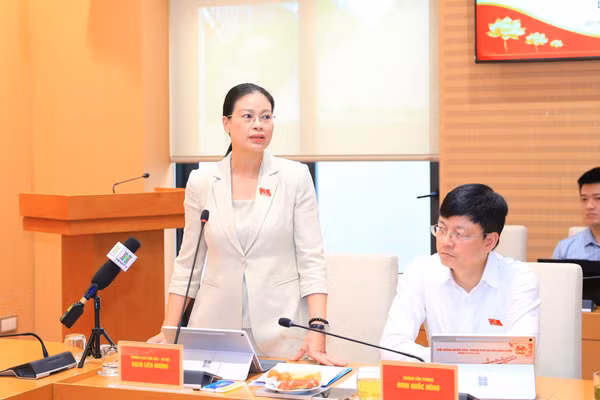 Bà Bạch Liên Hương thông tin tại hội nghị. Ảnh: QT