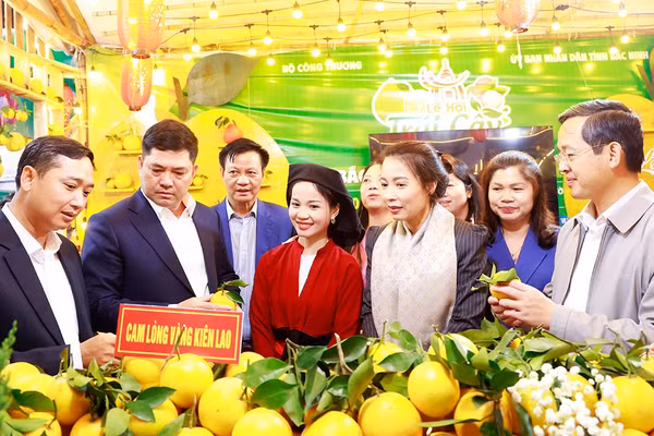 Lãnh đạo tỉnh Bắc Ninh tham quan các gian trưng bày.