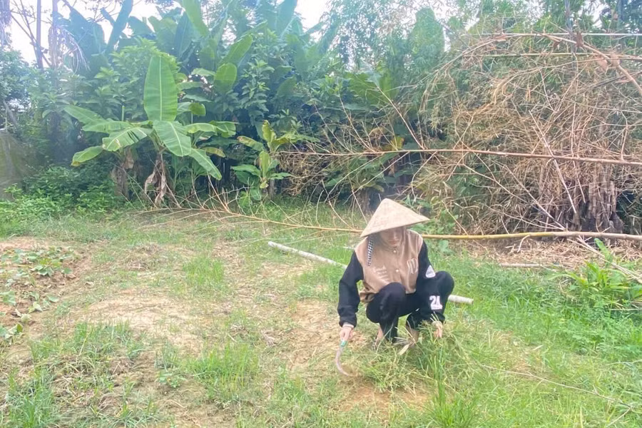 Sau những giờ chăm bố, chị em Hiền lại về nhà tranh thủ mọi việc của người lớn. 2aoboqztlcpj0phc0phlj2tfenq0qy8pvmeytkr2.jpg