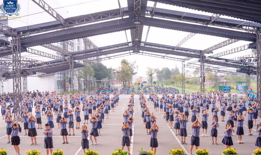 Năm học 2025-2026, Trường Tiểu học, THCS và THPT Albert Einstein tuyển sinh 630 chỉ tiêu.