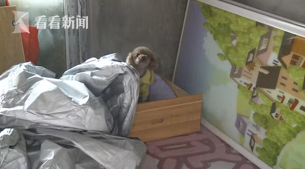 Bỏ hoang nhà 10 năm, người chủ về kiểm tra thì đột nhiên run bần bật vì âm thanh lạ, sau đó lại chết trân với cảnh tượng khủng khiếp - Ảnh 2. Bỏ hoang nhà 10 năm, người chủ về kiểm tra thì đột nhiên run bần bật vì âm thanh lạ, sau đó lại chết trân với cảnh tượng khủng khiếp - Ảnh 2.