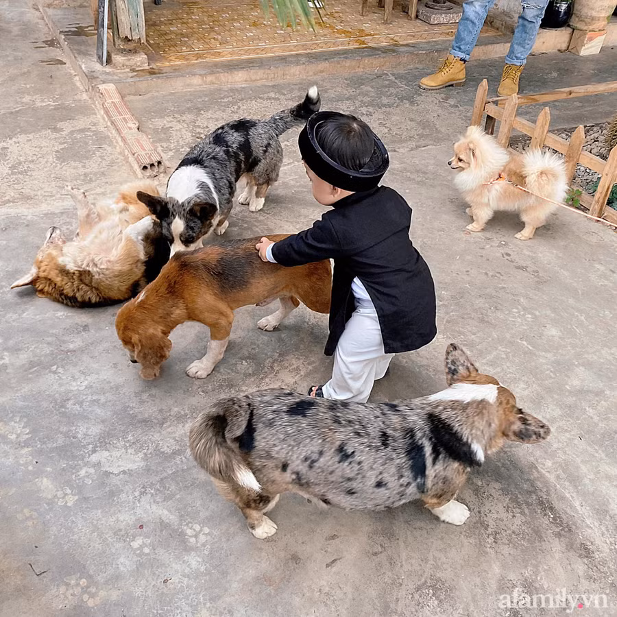 Bé trai "chơi lớn" mặc nguyên bộ đồ "thầy bói" đi dạo phố đầu năm ảnh 13
