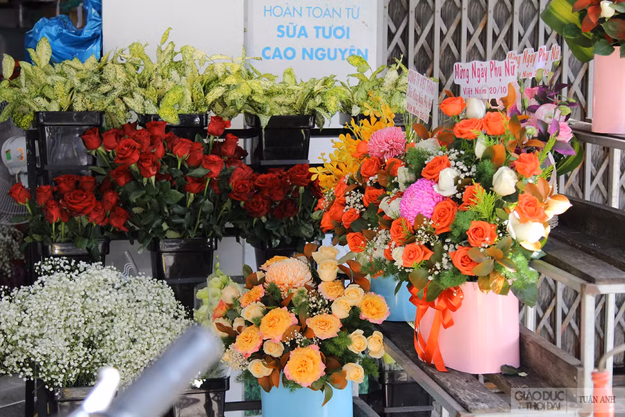 Hoa hồng đỏ là loại hoa được nhiều người tìm mua dịp 20/10, dành tặng cho phái đẹp trong ngày đặc biệt của mình.