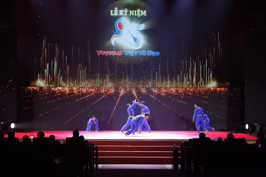Hình ảnh biểu diễn của các môn sinh môn võ Vovinam.