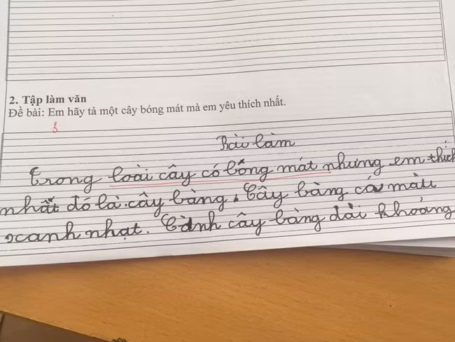 Loài cây có bóng mát.