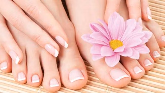 Những bộ phận này của phụ nữ sau 40 tuổi càng "mỏng" càng sống thọ, đặc biệt điều đầu tiên - Ảnh 3.