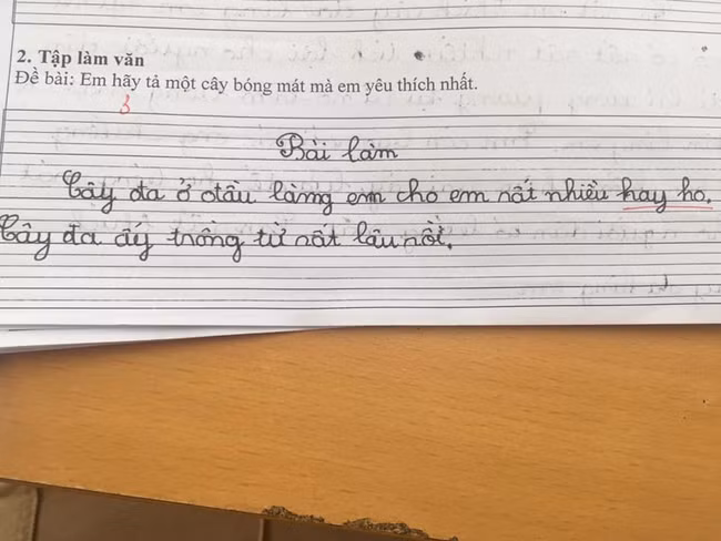 Cây đa cho em nhiều điều... hay ho.