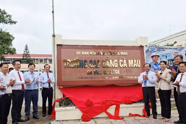 Trường CĐ Cà Mau được hình thành trên cơ sở sáp nhập 4 trường CĐ.