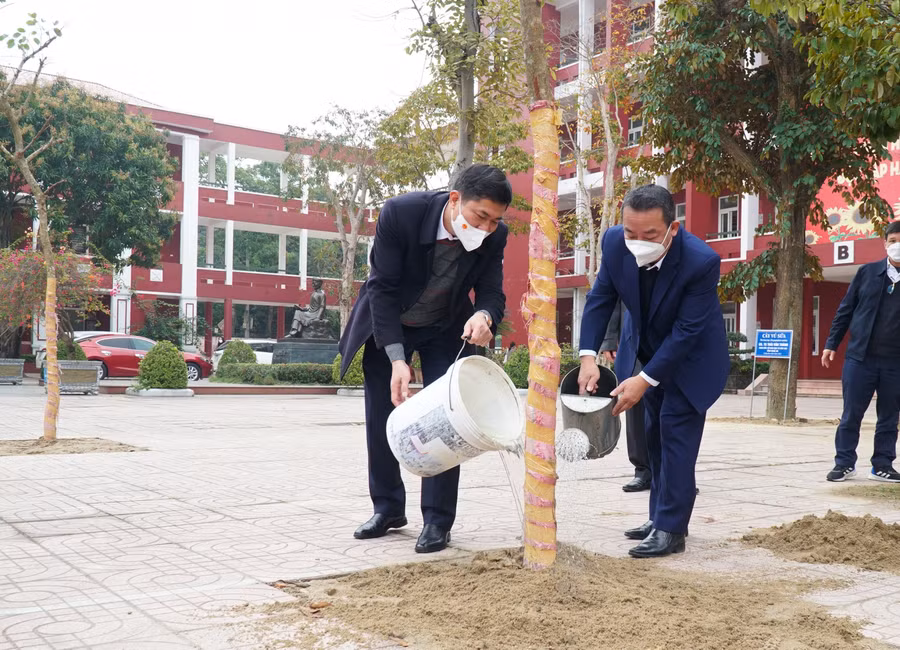 Trồng cây hoa ban tại khuôn viên Trường THPT Huỳnh Thúc Kháng (TP Vinh, Nghệ An).
