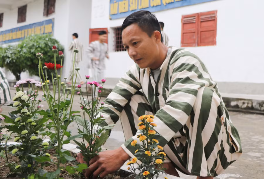 Cái tết đầu tiên trong trại giam trở nên thấm thía hơn với phạm nhân, để họ nhận thức lỗi lầm của mình và nỗ lực cải tạo, sớm trở về đoàn tụ với gia đình. Ảnh: Hồ Lài.