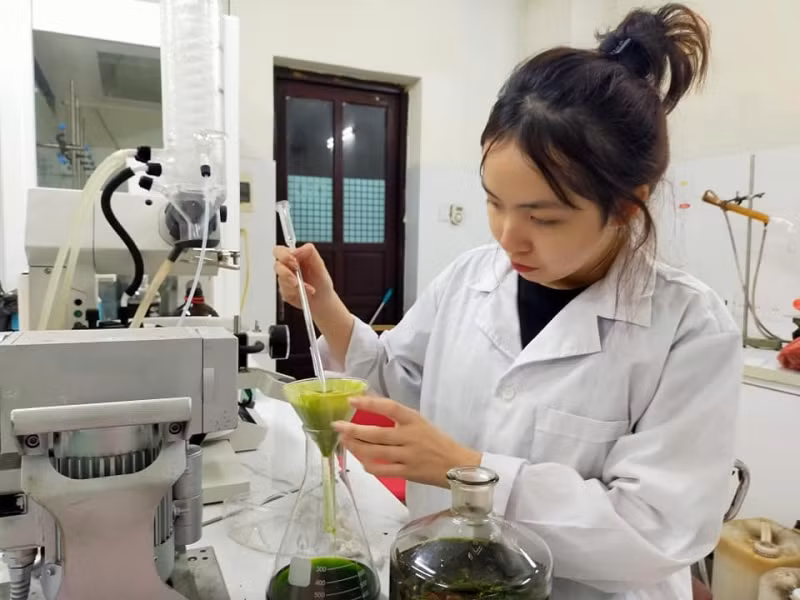 Quy định khen thưởng học sinh giỏi hứa hẹn sẽ nâng cao chất lượng giáo dục mũi nhọn của tỉnh miền núi như Tuyên Quang. Ảnh: Sở GD&ĐT Tuyên Quang