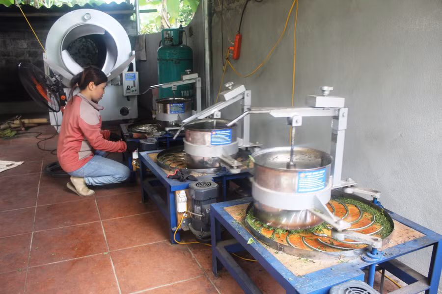 Sơ chế chè tại một hộ dân ở huyện Như Xuân (Thanh Hóa). Ảnh: TL.