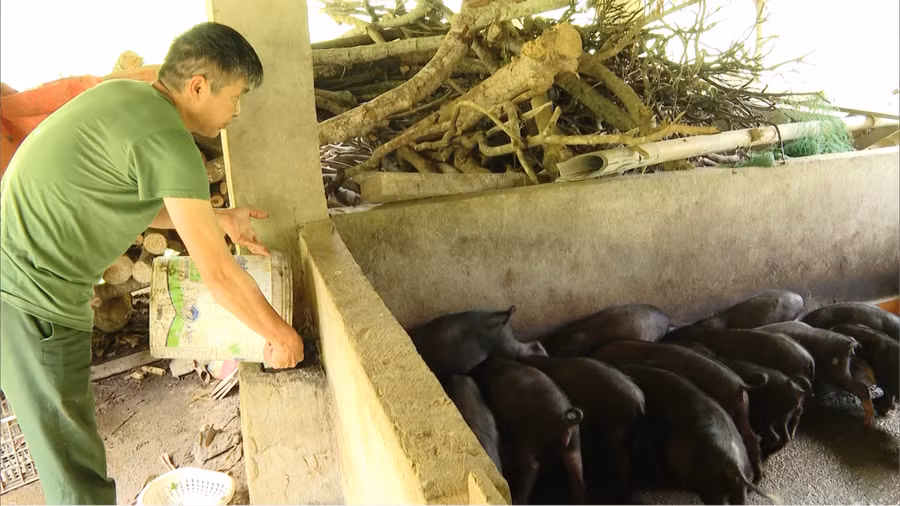 Gia đình ông Nguyễn Văn Uyết được hỗ trợ nguồn vốn từ chương trình mục tiêu quốc gia giảm nghèo bền vững. Gia đình ông Nguyễn Văn Uyết được hỗ trợ nguồn vốn từ chương trình mục tiêu quốc gia giảm nghèo bền vững.