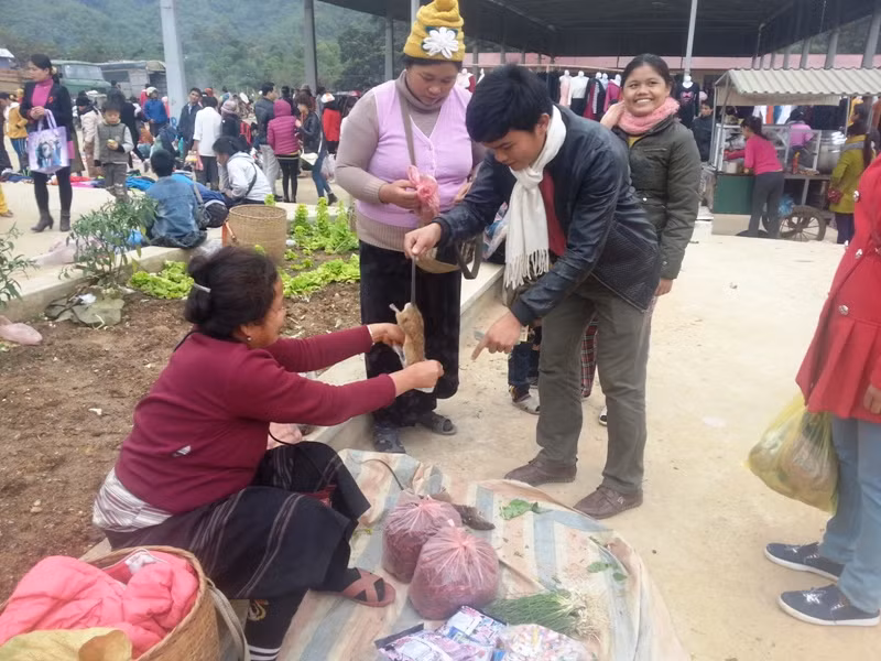 Chuột rừng cũng được người Lào đưa qua chợ Na Mèo bán cho khách.