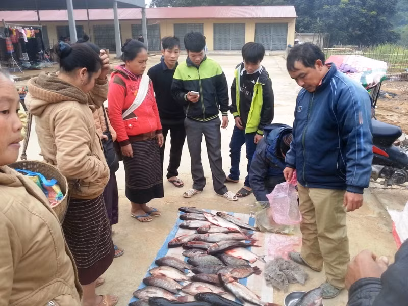 Các loại cá ở dưới xuôi cũng được đưa lên bán ở chợ Na Mèo.