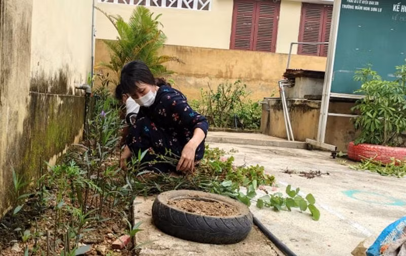Các loài hoa được giáo viên Trường Mầm non thị trấn Sơn Lư (Quan Sơn, Thanh Hóa) tự trồng trong khuôn viên nhà trường.